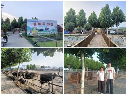 589b6eeb5820ebc4f1c19925099d333